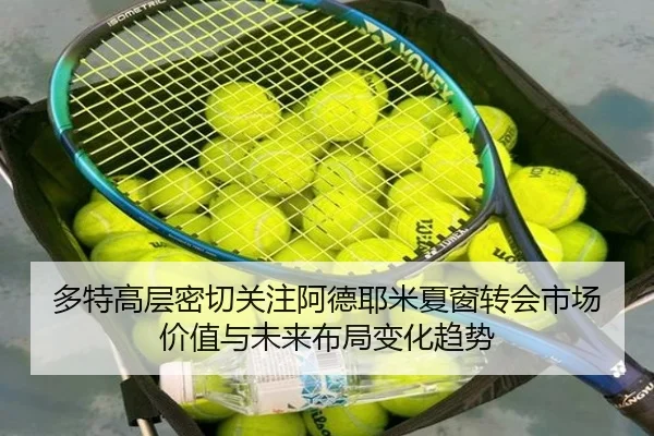 多特高层密切关注阿德耶米夏窗转会市场价值与未来布局变化趋势（kaiyun）